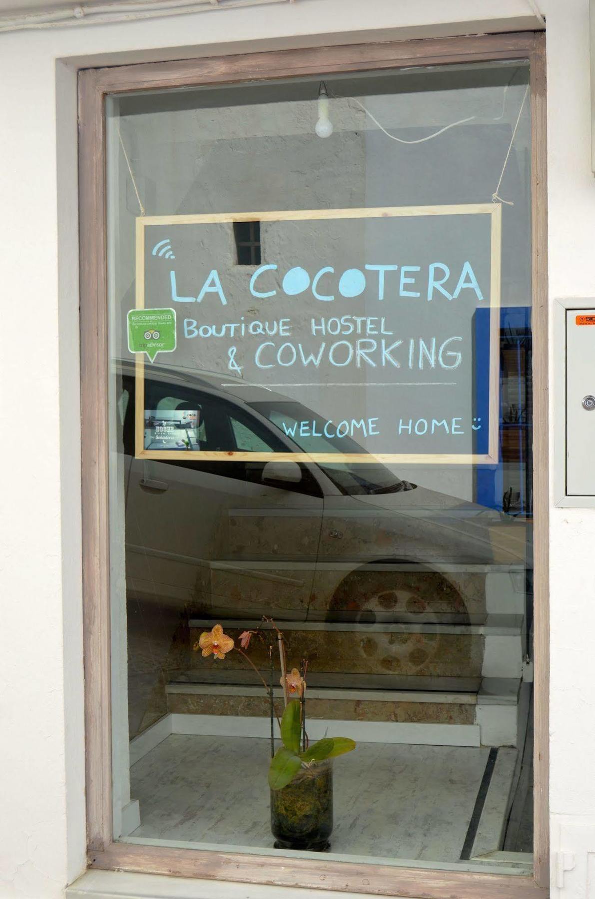 Hostel La Cocotera Boutique & Coworking
